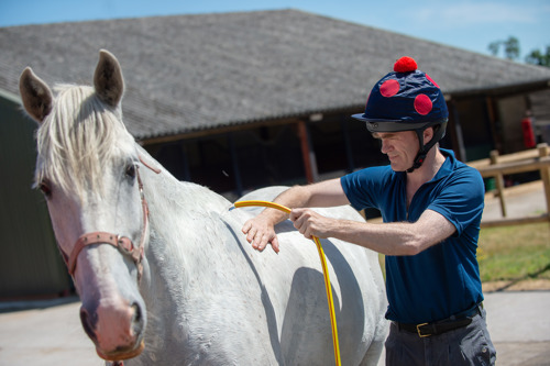 Rider washing off a white horse with a hose