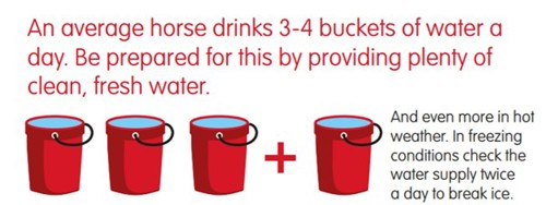 Infographic, three red buckets a plus sign and another red bucket, text reads 'An average horse drinks 3-4 buckets of water a day. Be prepared for this by providing plenty of clean, fresh water'.