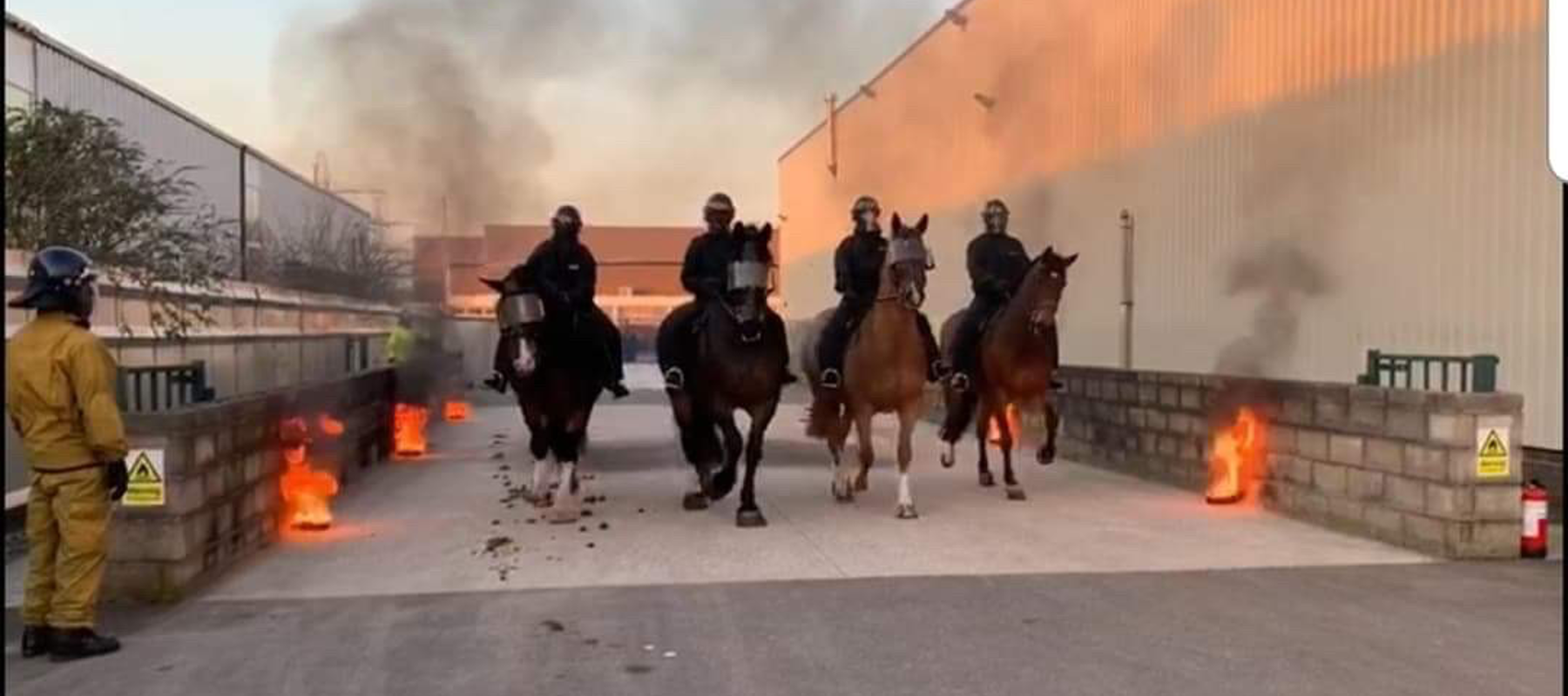 Merseyside Mounted Police Horses