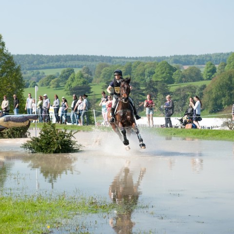 Senior Yard Manager With Riding