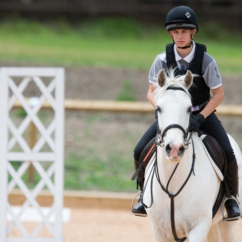 Foundation Groom With Riding