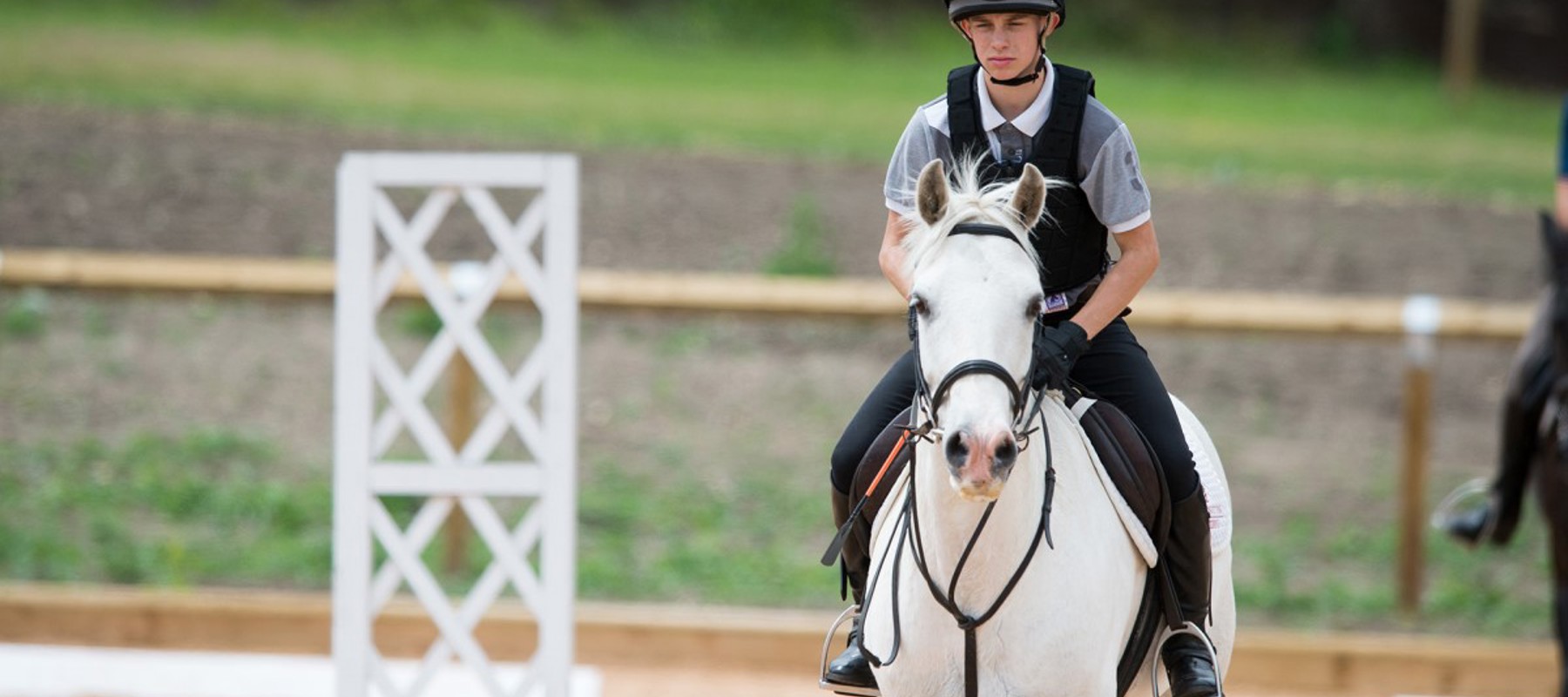 Foundation Groom With Riding