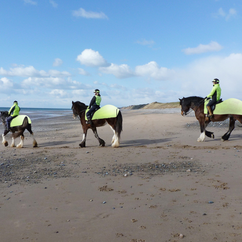 Ride Leader (Stage 2) Hi Viz