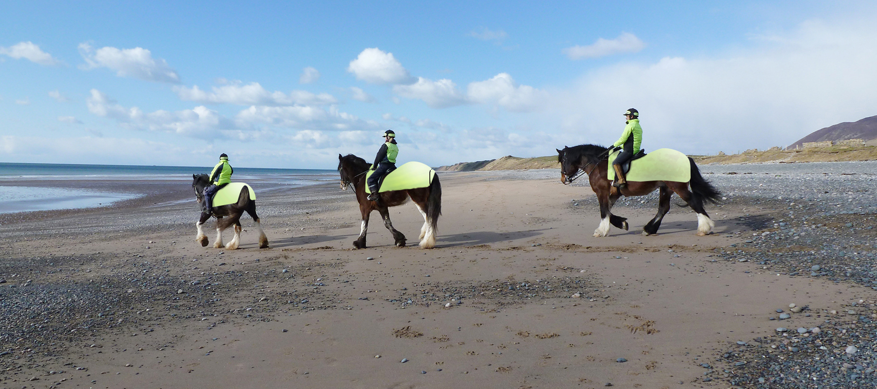 Ride Leader (Stage 2) Hi Viz