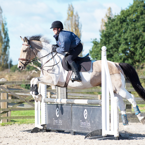 Trent Park Equestran Oct 17 7678 Brighter