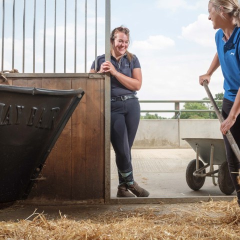 Caring For Your Horse