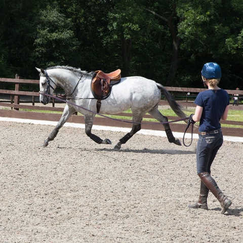 Good Lunge Technique