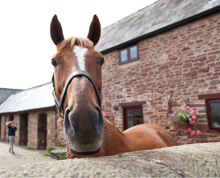 Abbotsholme Equestrian Centre | BHS Approved Centre | The British Horse ...